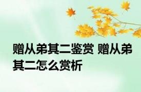 赠从弟其二鉴赏 赠从弟其二怎么赏析
