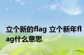 立个新的flag 立个新年flag什么意思
