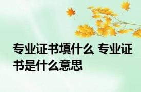专业证书填什么 专业证书是什么意思
