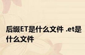 后缀ET是什么文件 .et是什么文件