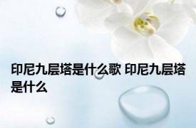 印尼九层塔是什么歌 印尼九层塔是什么