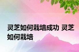 灵芝如何栽培成功 灵芝如何栽培