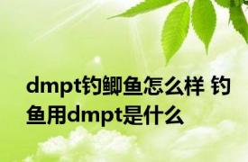 dmpt钓鲫鱼怎么样 钓鱼用dmpt是什么