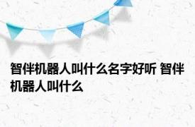 智伴机器人叫什么名字好听 智伴机器人叫什么