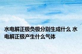 水电解正极负极分别生成什么 水电解正极产生什么气体