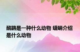 鸸鹋是一种什么动物 蟏蛸介绍 是什么动物