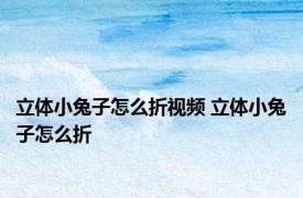 立体小兔子怎么折视频 立体小兔子怎么折