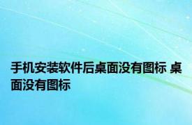 手机安装软件后桌面没有图标 桌面没有图标 