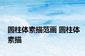 圆柱体素描范画 圆柱体素描 