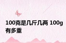 100克是几斤几两 100g有多重