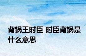背锅王时臣 时臣背锅是什么意思