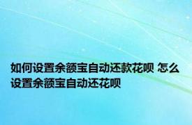 如何设置余额宝自动还款花呗 怎么设置余额宝自动还花呗