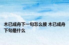 木已成舟下一句怎么接 木已成舟下句是什么
