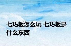 七巧板怎么玩 七巧板是什么东西