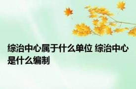 综治中心属于什么单位 综治中心是什么编制