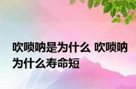吹唢呐是为什么 吹唢呐为什么寿命短