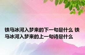 铁马冰河入梦来的下一句是什么 铁马冰河入梦来的上一句诗是什么