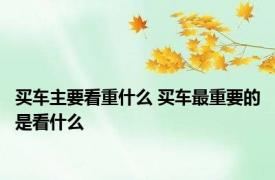 买车主要看重什么 买车最重要的是看什么