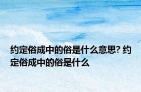 约定俗成中的俗是什么意思? 约定俗成中的俗是什么