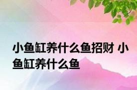 小鱼缸养什么鱼招财 小鱼缸养什么鱼