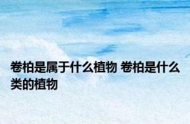 卷柏是属于什么植物 卷柏是什么类的植物