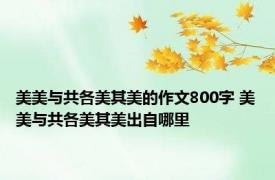 美美与共各美其美的作文800字 美美与共各美其美出自哪里
