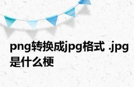 png转换成jpg格式 .jpg是什么梗