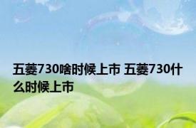 五菱730啥时候上市 五菱730什么时候上市