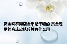 赏金魄罗商店金币是干嘛的 赏金魂罗的商店皮肤碎片有什么用