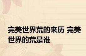 完美世界荒的来历 完美世界的荒是谁