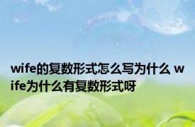 wife的复数形式怎么写为什么 wife为什么有复数形式呀