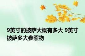 9英寸的披萨大概有多大 9英寸披萨多大参照物