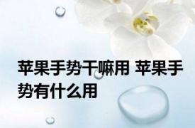 苹果手势干嘛用 苹果手势有什么用