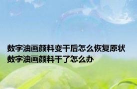 数字油画颜料变干后怎么恢复原状 数字油画颜料干了怎么办