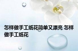 怎样做手工纸花简单又漂亮 怎样做手工纸花
