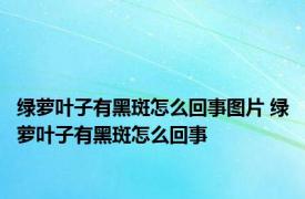 绿萝叶子有黑斑怎么回事图片 绿萝叶子有黑斑怎么回事