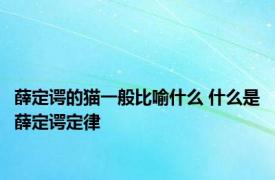 薛定谔的猫一般比喻什么 什么是薛定谔定律