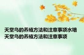 天堂鸟的养殖方法和注意事项水培 天堂鸟的养殖方法和注意事项