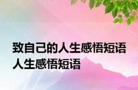致自己的人生感悟短语 人生感悟短语