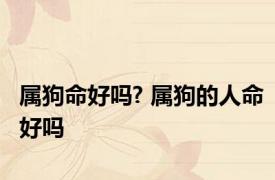 属狗命好吗? 属狗的人命好吗