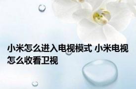小米怎么进入电视模式 小米电视怎么收看卫视
