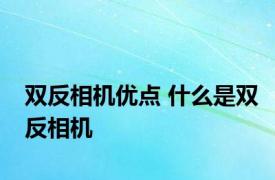 双反相机优点 什么是双反相机