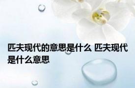 匹夫现代的意思是什么 匹夫现代是什么意思