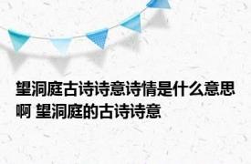 望洞庭古诗诗意诗情是什么意思啊 望洞庭的古诗诗意