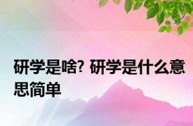 研学是啥? 研学是什么意思简单