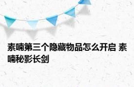 素喃第三个隐藏物品怎么开启 素喃秘影长剑 