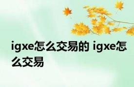 igxe怎么交易的 igxe怎么交易
