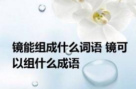 镜能组成什么词语 镜可以组什么成语