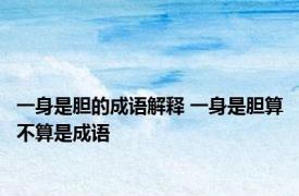 一身是胆的成语解释 一身是胆算不算是成语