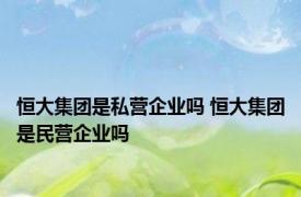 恒大集团是私营企业吗 恒大集团是民营企业吗